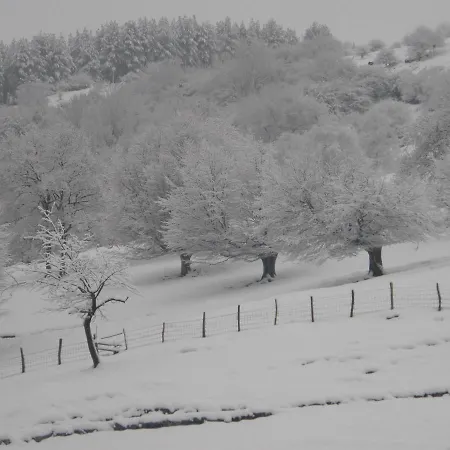 Casa Rural Alustiza Villabona
