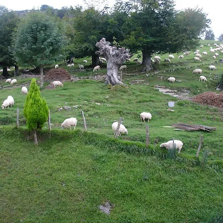 Casa rural Casa Rural Alustiza Villabona