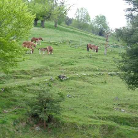 Casa rural Casa Rural Alustiza Villabona